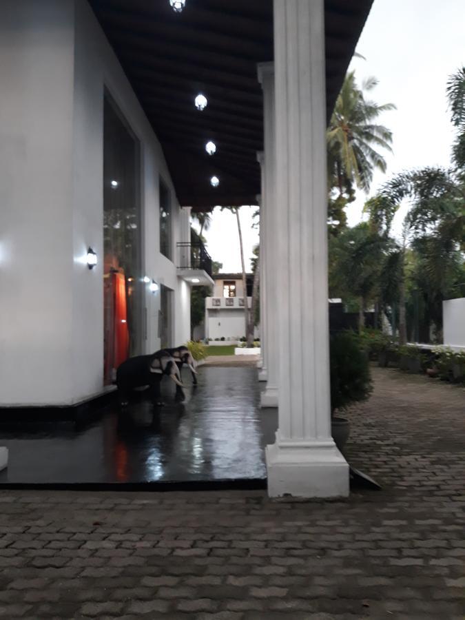 The Kingston Hotel Kiribathgoda Ngoại thất bức ảnh